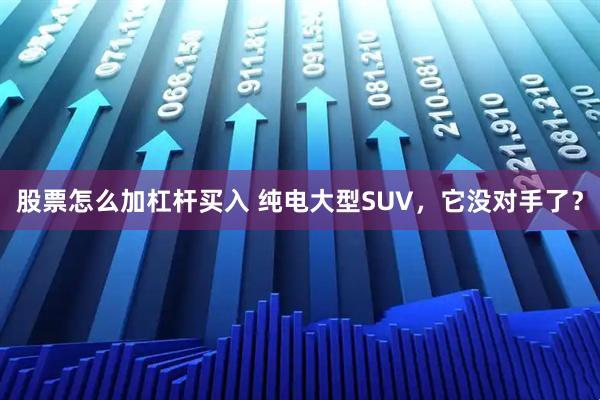 股票怎么加杠杆买入 纯电大型SUV，它没对手了？
