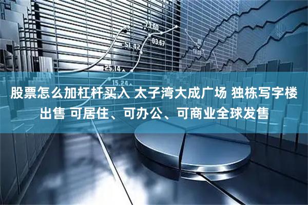股票怎么加杠杆买入 太子湾大成广场 独栋写字楼出售 可居住、可办公、可商业全球发售